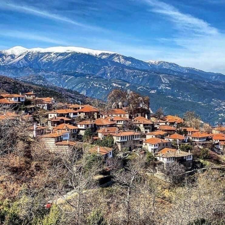 Ξενώνας Τ'Αρχοντικό Palaios Panteleimonas Exterior foto